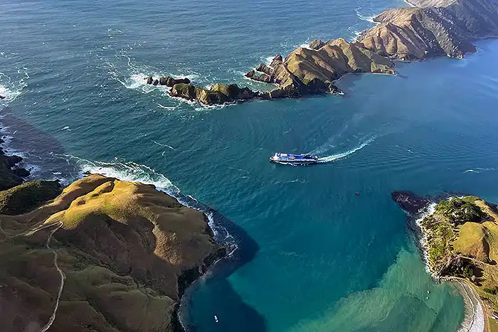 Aerial view of interisland ferry traversing Tory Channel from Golden Bay Air Marlborough Sounds scenic flight